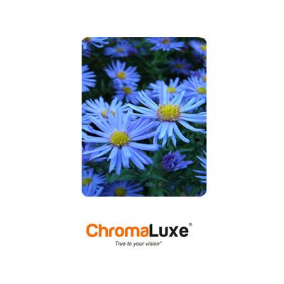 11"x17" ChromaLuxe Photo Aluminum Clear glossy